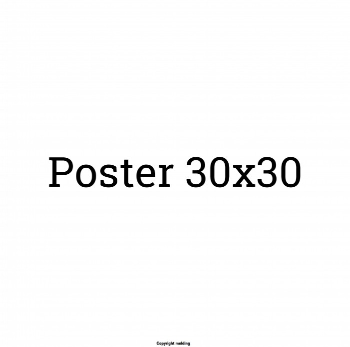 30x30 (Poster)