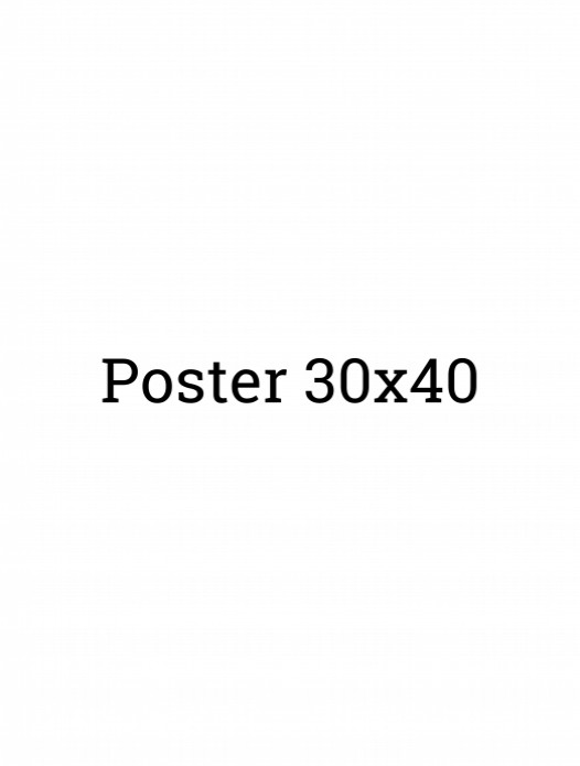 30x40 (Poster)