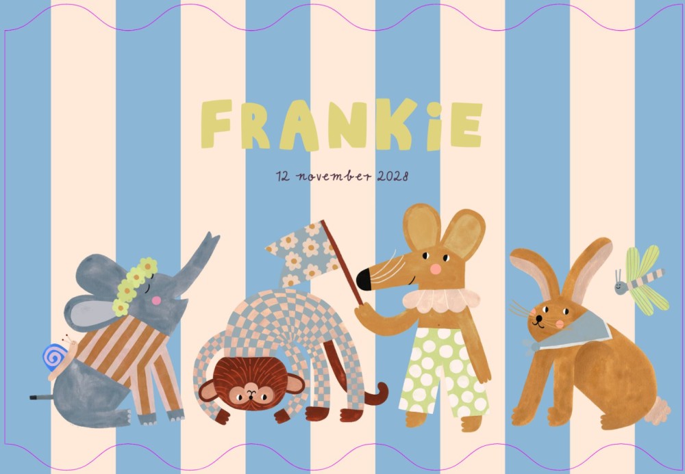 Frankie | Geboortekaartje strepen dierenparade