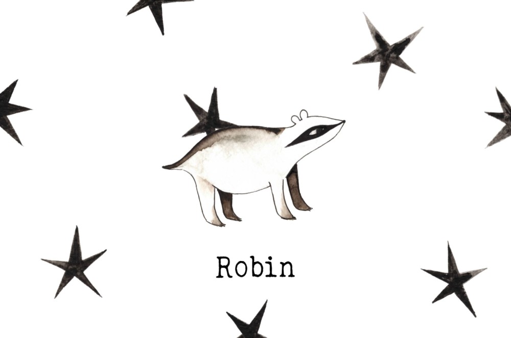 Geboortekaartje das Robin