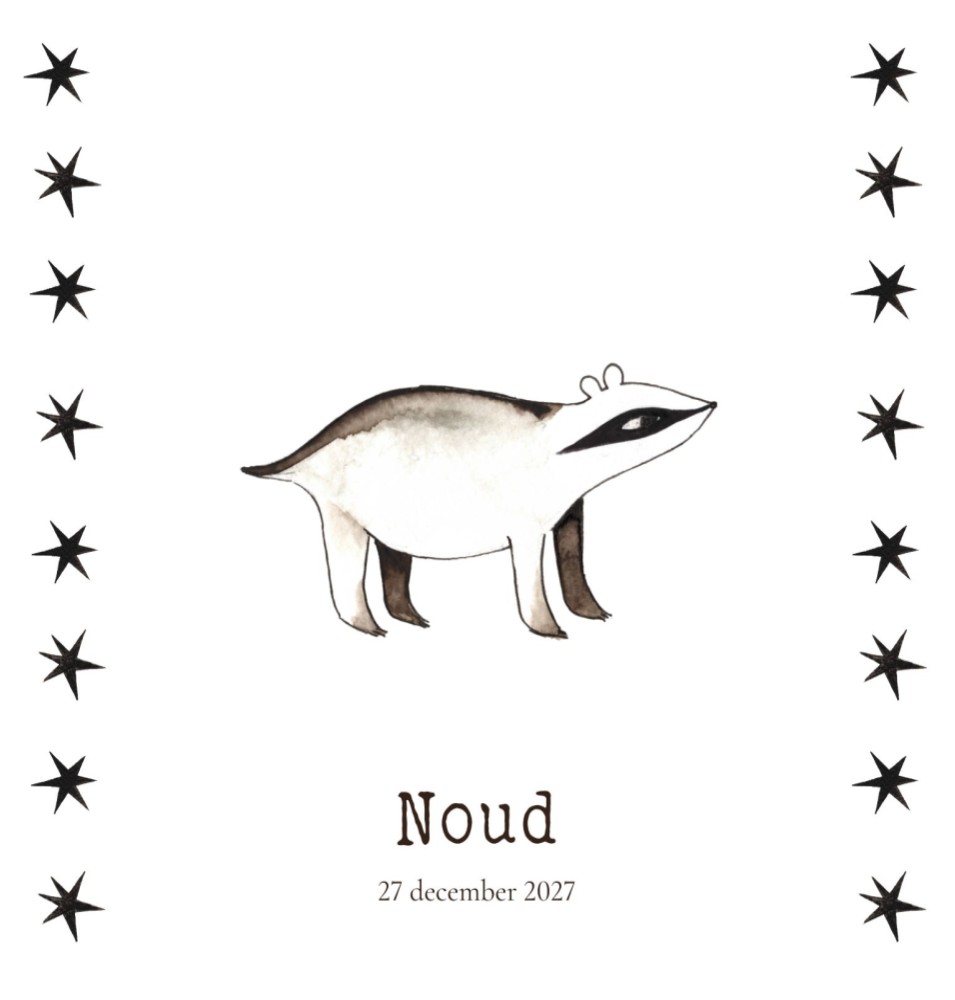 Geboortekaartje das Noud