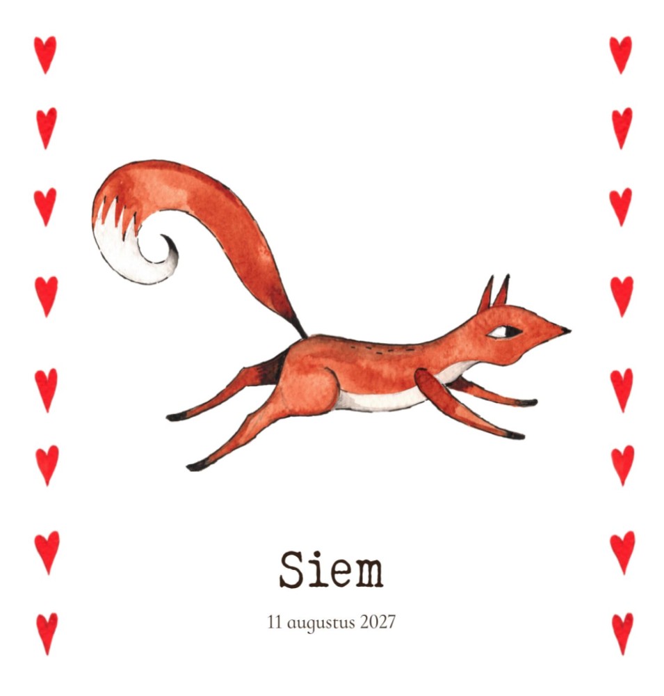 Geboortekaartje eekhoorn Siem