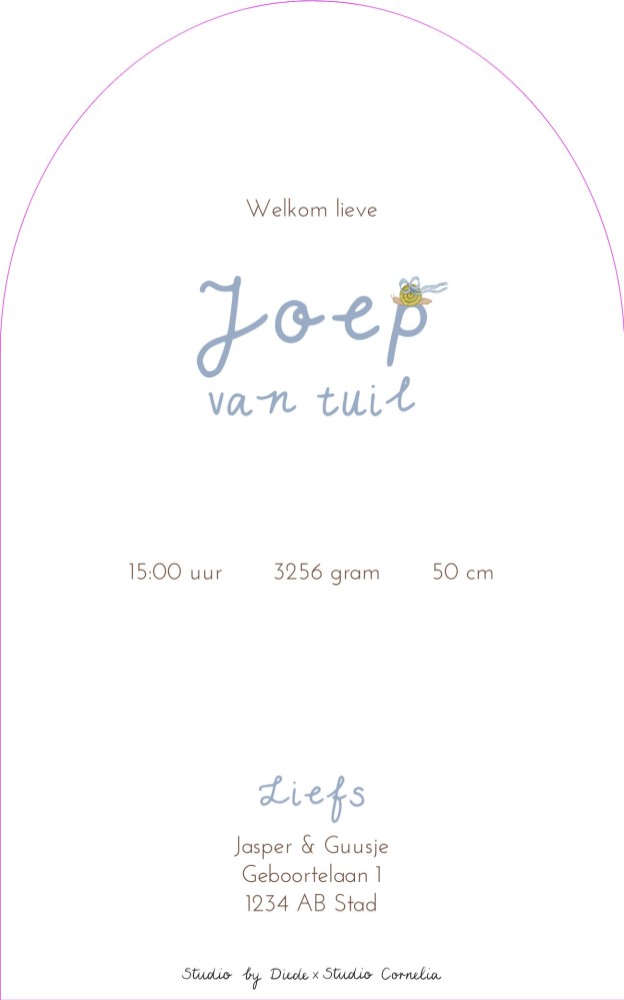 Geboortekaartje eendje Joep