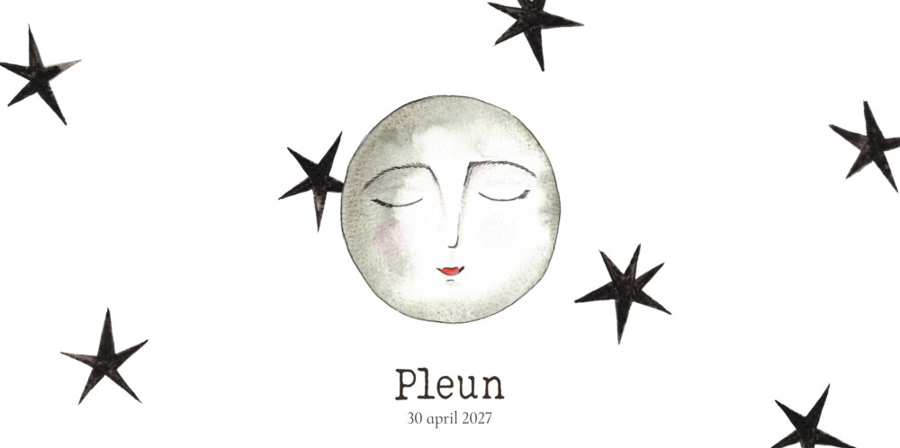 Geboortekaartje maan Pleun