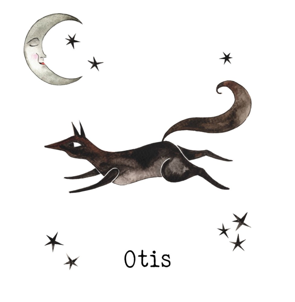 Geboortekaartje wolf Otis