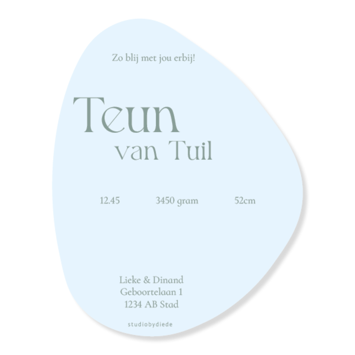 Geboortekaartje in vorm van kiezel - Teun