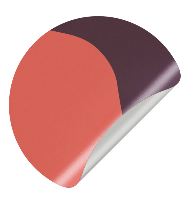 Sluitsticker kiezel - paars - roze