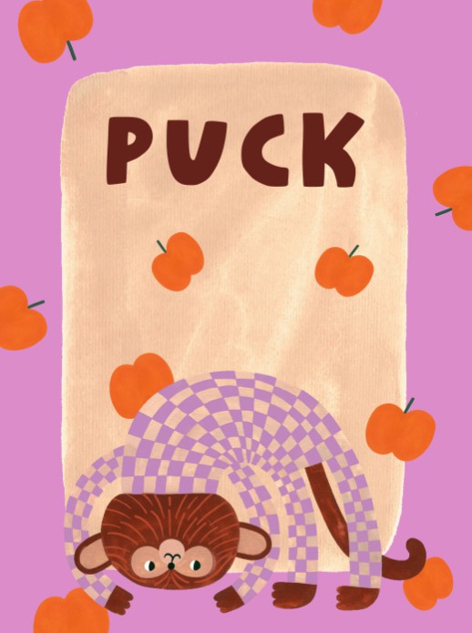 Poster aapje Puck 30x40