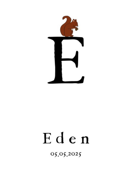 Poster letter E 30x40